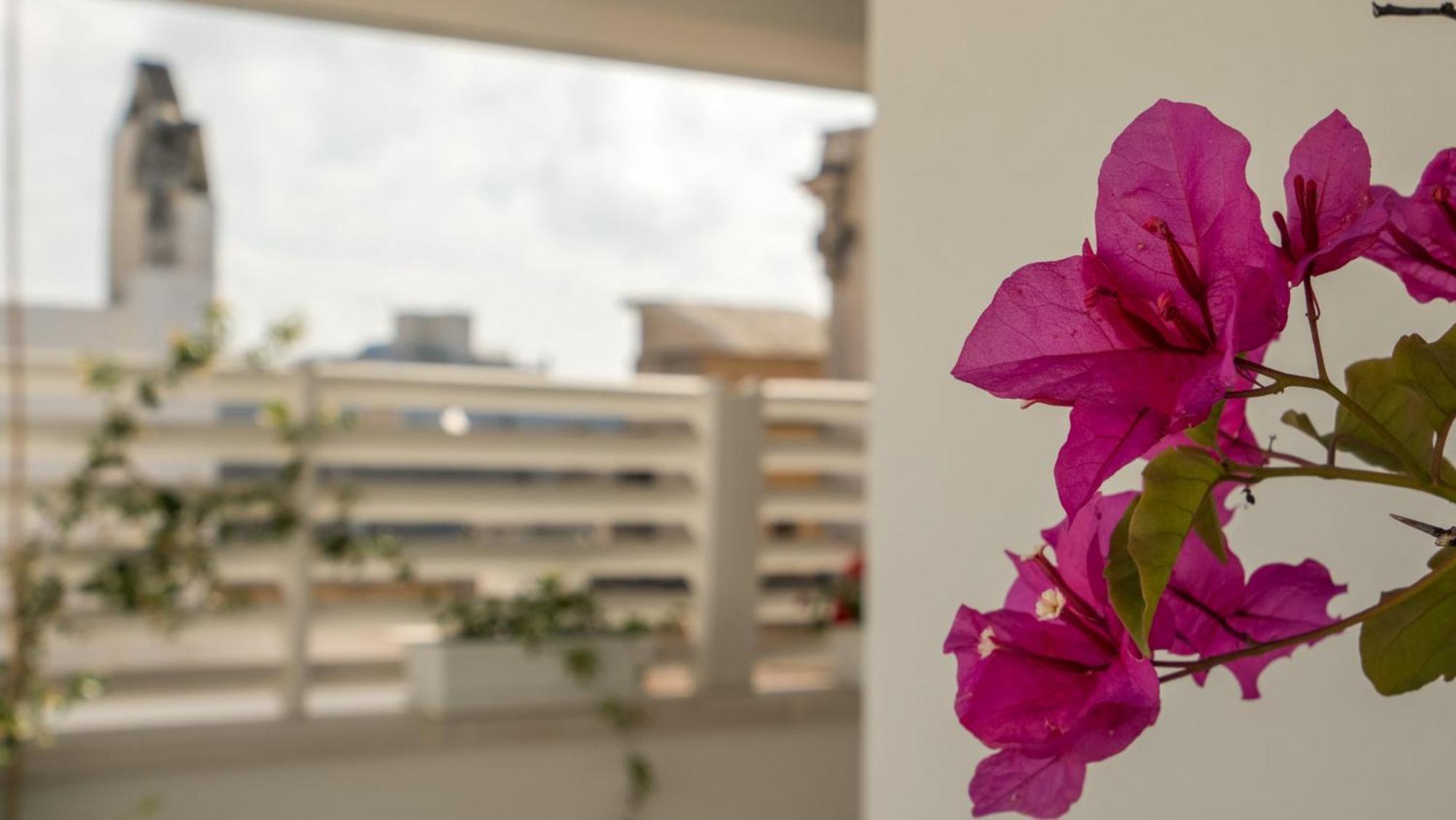 Bed and Breakfast Il Vicoletto Polignano a Mare Exterior foto